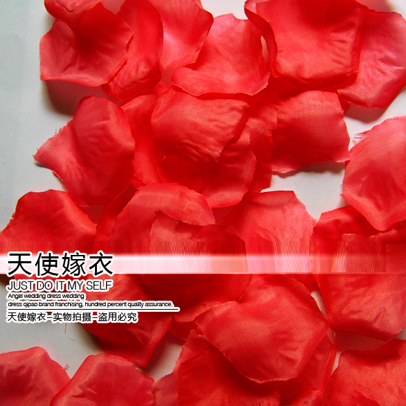 Married festive - bed flower petal flower - new homes romantic - 001 red