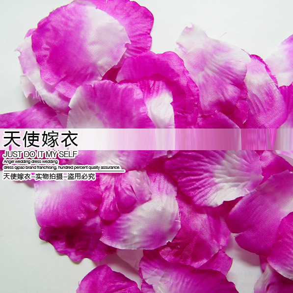 Married festive - bed flower petal flower - new homes romantic - 001 Violet