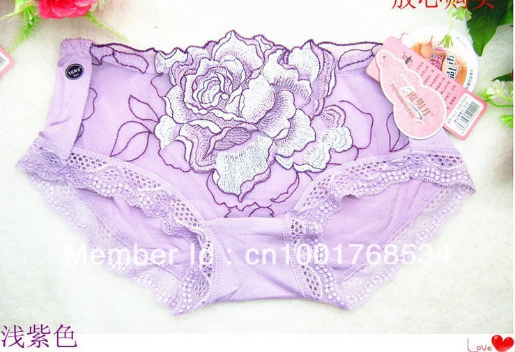 Mid Waisted  Women's Panties Embroidered Sexy Women's Underwear 6 Colors Available