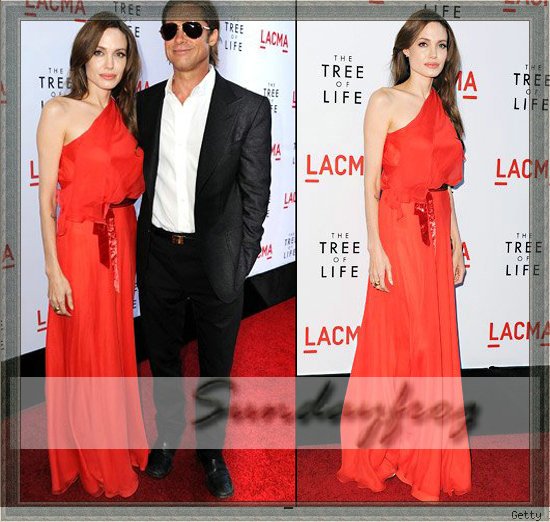 New Arrival Free Shipping Custom Made Angelina Jolie A-Line One-Shoulder 30D Chiffon with Sash Red Carpet Celebrity Dress