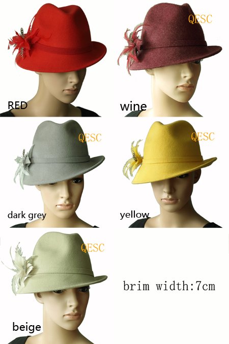 NEW COLOR ARRIVAL.100% WOOL Felt Hat with feathers,5 colors.Free Shipping.