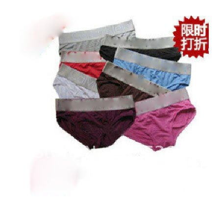 New Cotton Women's Underwear /Ms sexy underwear underwear mo dyer lady triangular pants comfortable fashionable underwear