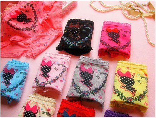 New love wizard cotton cartoon printing female briefs underwear Free shipping 2524