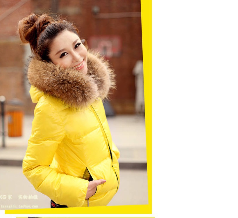 New Short Slim Fit Women Lady Fur Collar Quilted Jacket Cotton Coat 4 Colors