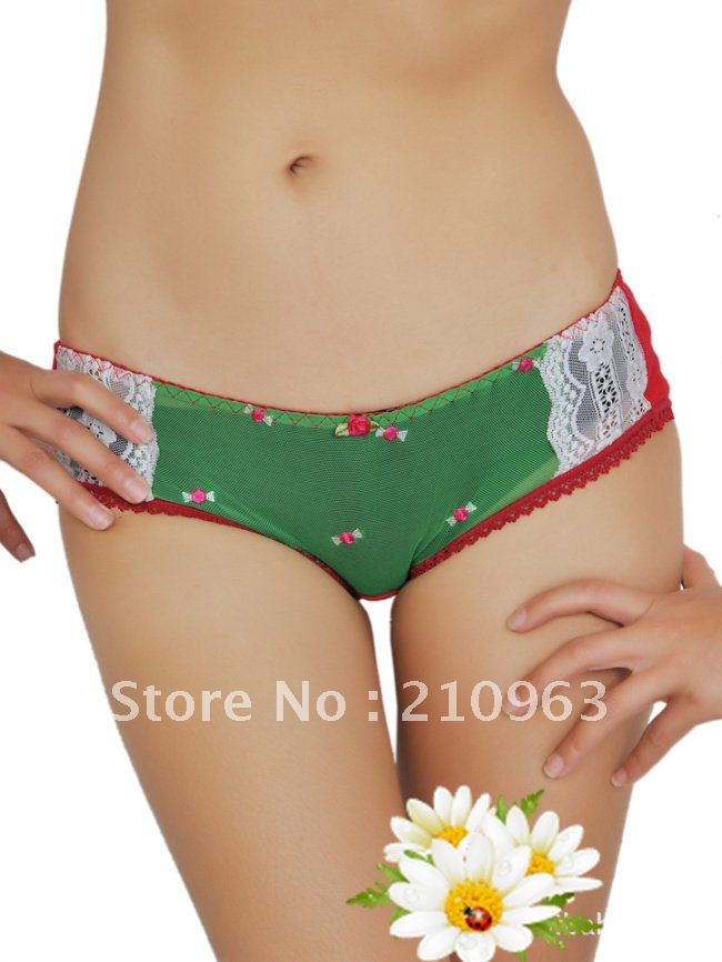NEW Style Print Ladies Sexy  Lingerie Women Briefs  Underwear Panties 10Pcs/lot Free Shipping