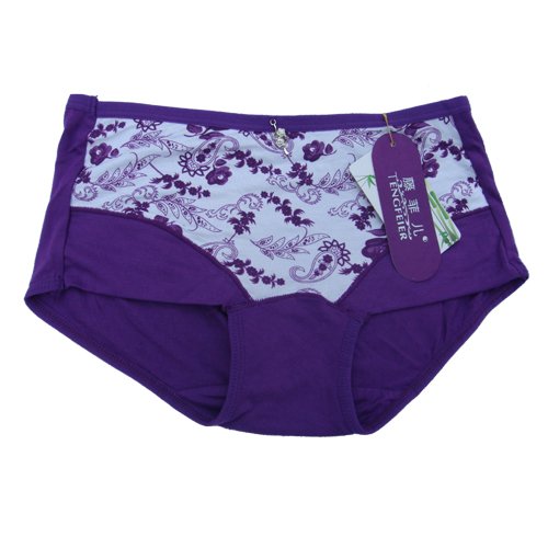 New wholesale!!! Free Shipping! Ladies' cotton underpants with lace edge, 12pcs/lot
