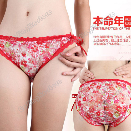 New Women's Ladies Lace Sexy Floral Print Briefs Thong Panties Knickers Intimates Underwear 4 Colors Free Shipping NY019
