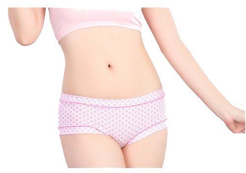 New Womens Panties Floral Print Cotton Underwear Breathable Briefs 4 Size M244