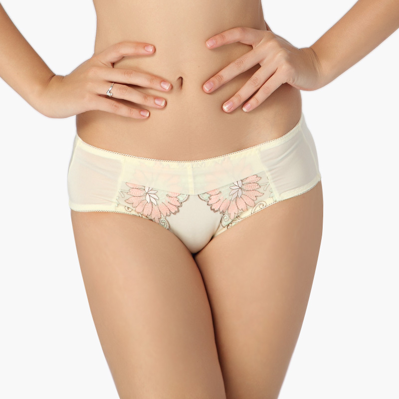 No.AGL-001 433 embroidery the paragraph panties