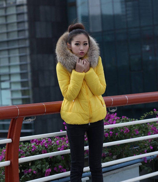 Only day 50% discount .Women's cotton-padded clothes deeply artificialfur collar Jacket Lady  Hoody Outwear Warm Winter Coat M88
