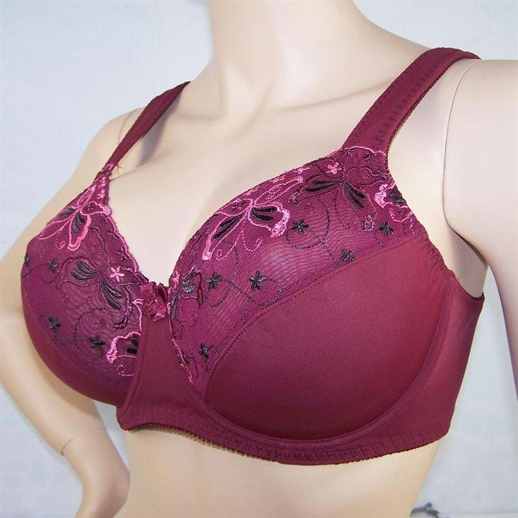 Plus Size Bra (YL247) /Size: D / E / F / Brand Direct /Blossom Sexy Gather Push Up Bra + Guaranteed100% + Free Shipping