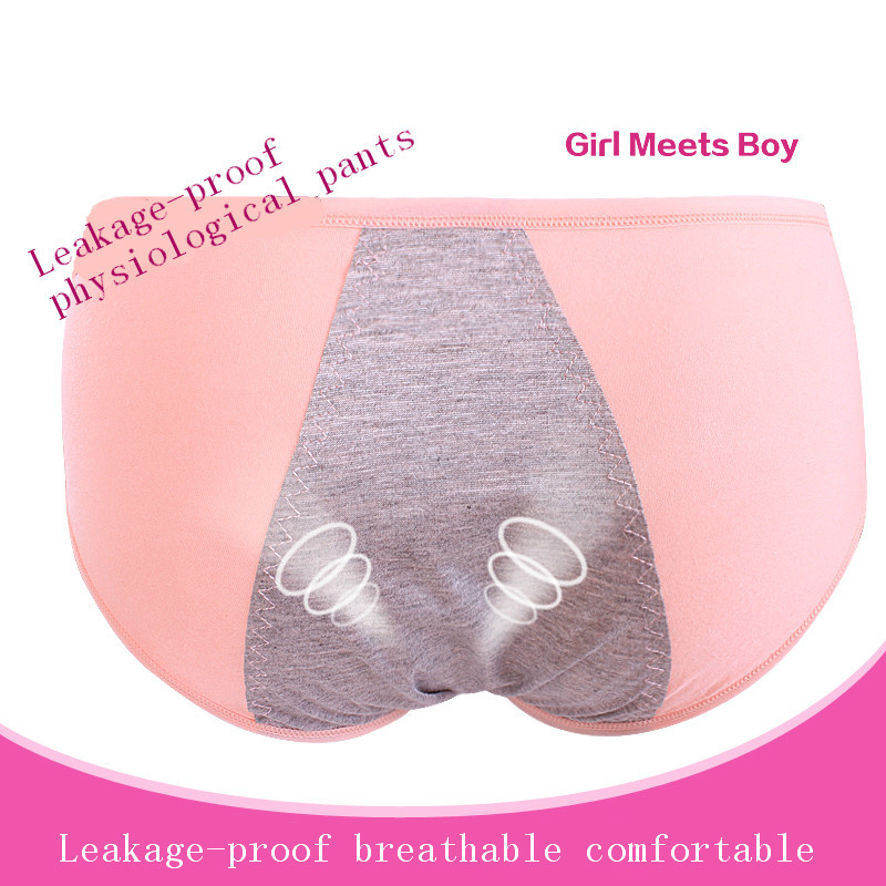 Promotion Physiological Briefs Pants Menstrual Leakproof Day and Night Seamless Underwear female 3pieces/lot Free Shipping