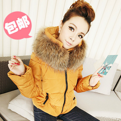 Promotion price!Large upgraded raccoon fur women's down coat,short design,high quality down jacket,Get it to be ready for winter