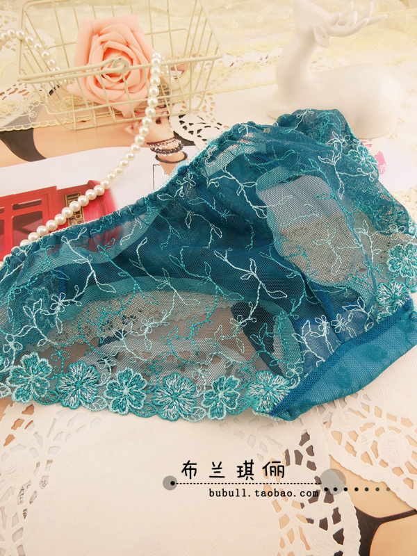 Quality embroidery gauze embroidery panties women's sexy underwear briefs cutout