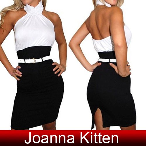 Retail Freeshipping Fashion Office Ladies Turtleneck Night Club Dress Viscose PD224