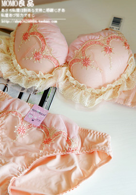Romantic exquisite embroidery beautiful lace push up sexy bra princess underwear set