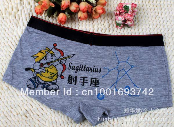 Sagittarius (11/23-12/21)- Hot 5piece/lot Women's Cartoon Constellation modal Boxers cotton Briefs underwear