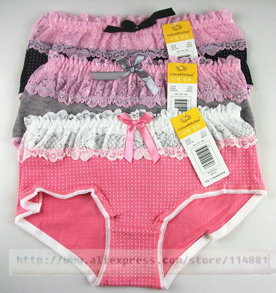Sexy Lingerie Cotton Lady Briefs With Lace Panties Lady Intimate Underwear NT2066 5 or 10pcs/lot Free Shipping
