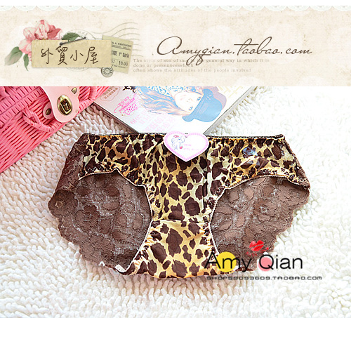 Sexy transparent lace decoration small panty ws-06