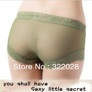 sexy ventilate Transparent Qualitative Lace Lingerie/ Woman panty /Woman Underwear panties free shipping