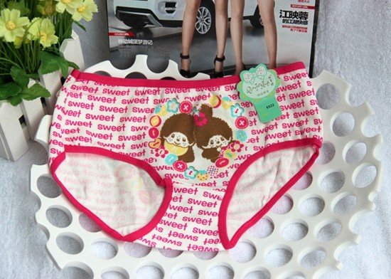 SK2030 100% Cotton 8 to 16 years Girls'  Underwear FREE SHIPPING