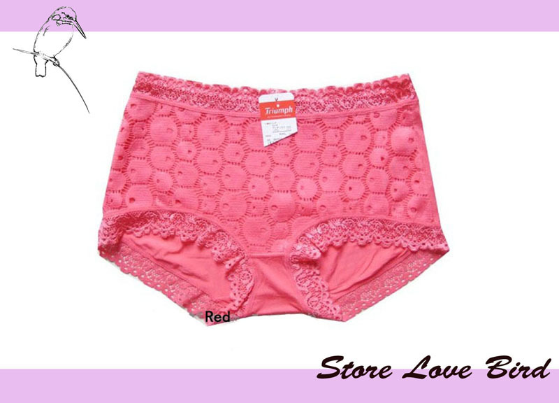 SP1037#Free Shipping 100%  Bamboo Fiber High Waist Lace Underwear XL Size Shorts