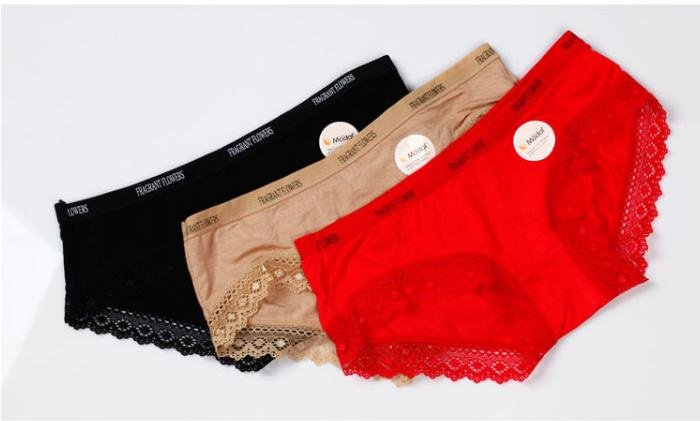 Special lace triangle women's underwear wholesale Free shipping