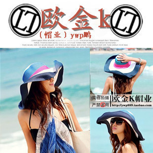 Steel wire big beach cap women's summer sunbonnet straw braid hat