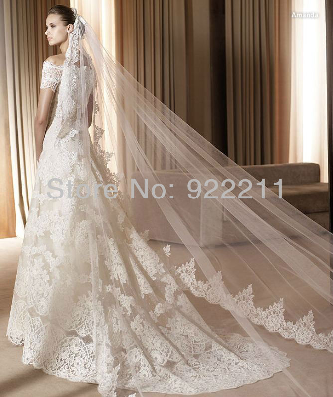 Stunning Ivory/White 1T Cathedral Length Bridal Wedding Veil Lace Purfle