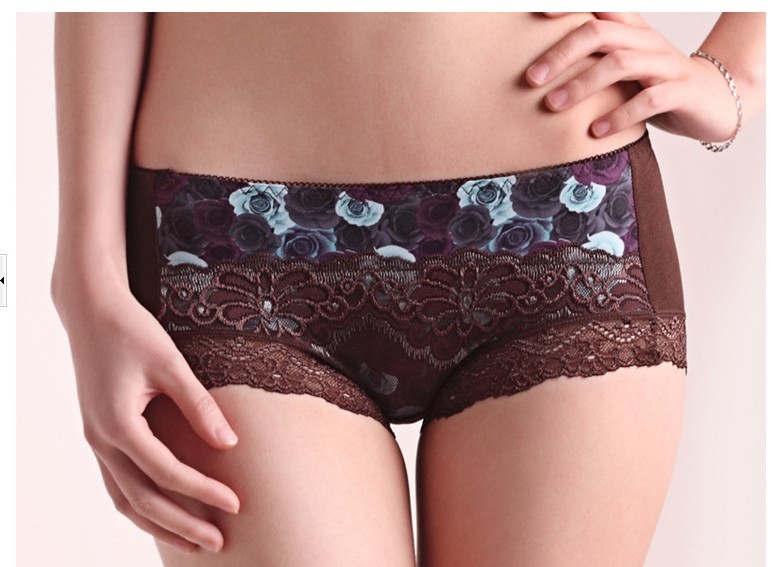 Superfine fiber printing embroidery lace high-end women's underwear