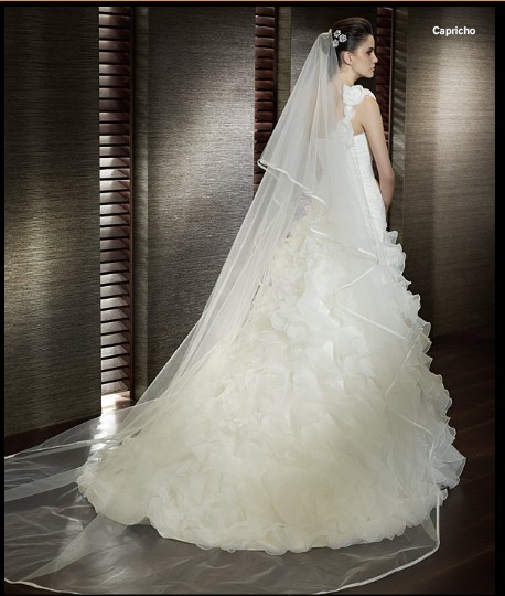 The bride wedding dress veil wedding dress veil