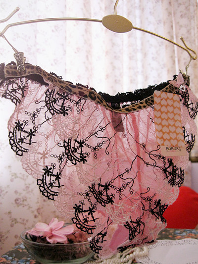 The fine _ women sexy embroidered underwear transparent underwear Ms. net yarn underwear RD448