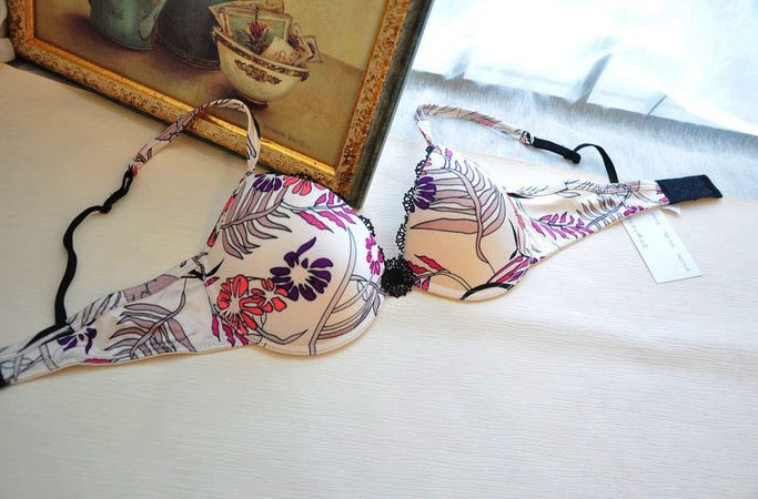 The single foreign trade export printing woman elegant smooth sexy bra free shipping