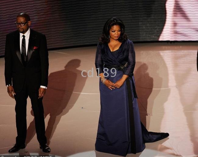 train Celebrity Dresses 2010 Oscar Oprah Beautiful floor-length pleats long sleeve belt