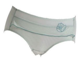 TS-0126, 2010 series panties hs6195,FREE SHIPPING