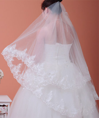 Ts7 - veil bridal veil wedding dress veil the wedding veil embroidered veil