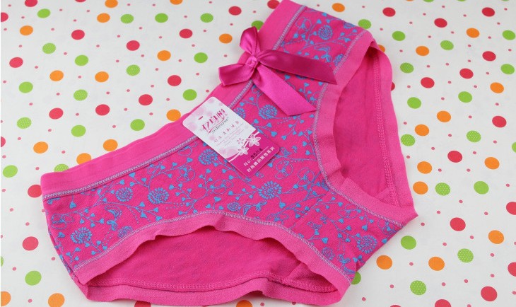 underpants women,Panties, Cotton underwear wholesale factory price Panty  Free Shipping