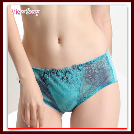 [View Sexy] HOT Sales Free Shipping Transparent Qualitative Lace Lingerie/ Woman pantiesVSP5075