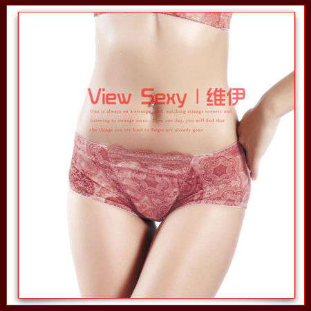 [View Sexy] HOT Sales Free Shipping Transparent Qualitative Lace Lingerie/ Woman pantiesVSP8882