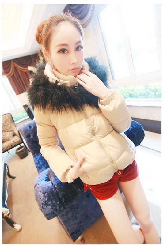 Wholesale:10pcs/lot  New arrival  Hot ! Hot! Fashion women  jacket/warm coat /lady down jacket /Retail/Free shipping