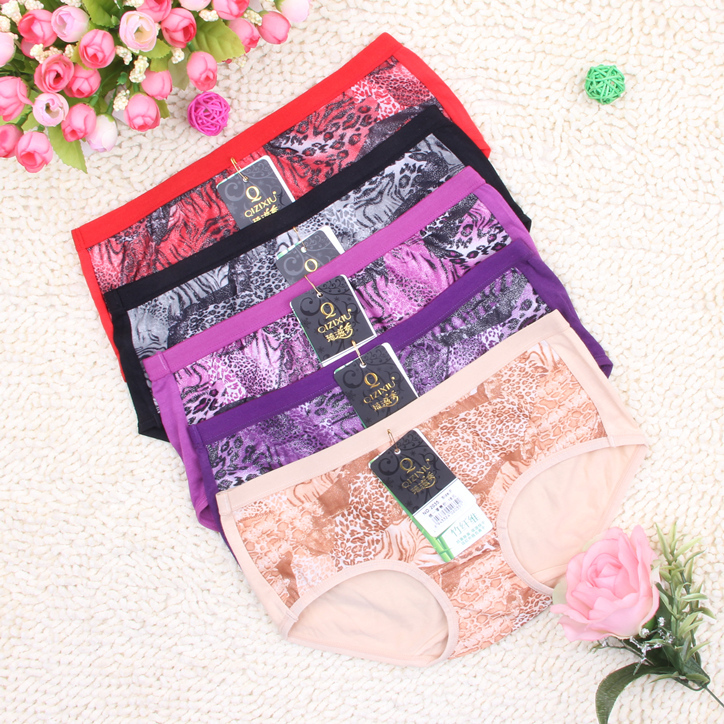 Wholesale 24pcs/lot bamboo fibre mid waist briefs bamboo womens  panties,Free shipping 1