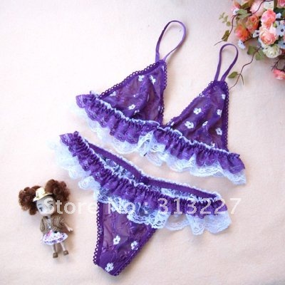 Wholesale and retail 3pcs/lotsexy hot purple lace embroidery bra underwear set free shipping  fit XS-L w15P