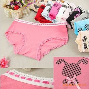 Wholesale Cute Elegant Rabbit Lace Bow Women Cotton Briefs Random Colors Free Shipping #1706