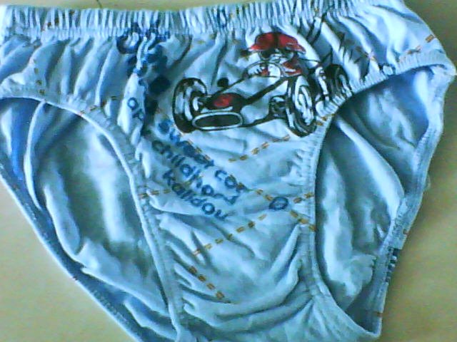 wholesale free shipping cotton children breif/children underwear/children briefs