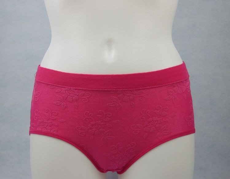 Wholesale high quality ladies uderwear briefs females underwear 5pc/lot free shipping