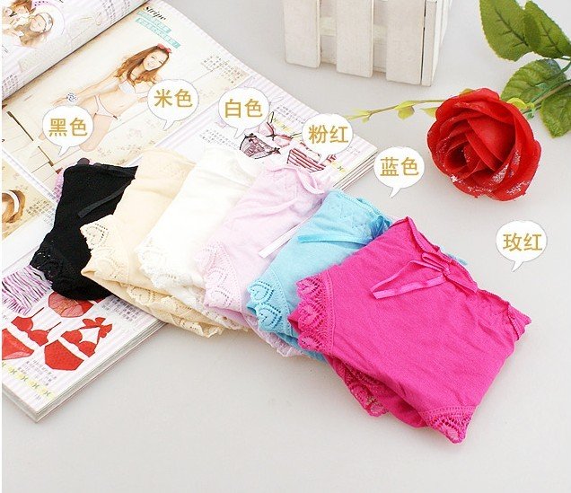 Wholesale Ladies cotton briefs Bamboo Fiber lace women's underwear 10pcs/lot Free shipping