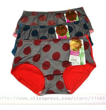 Wholesale New sexy Lingerie Bamboo Fiber Lady Briefs Women Intimate Underwear JF002 30pcs Free Shipping