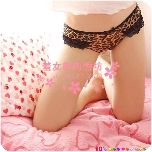Wholesale Panties vivi honey princess usuginu panties sexy transparent lace low-waist panty k159-1