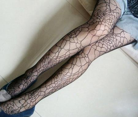 Wholesale Sexy Womens Fashion Spider Web Jacquard Stocking Fishnet Tights Ladies' Pantyhose With Retail Bag S2531# Free Shipping