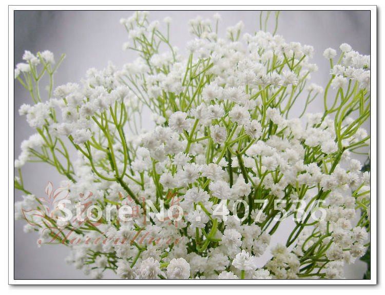 Wholesale starry-sky Weddding Bouquet , large simulation artificial Bridal  flower, Flower vase as gift, white, 12pcs,my272